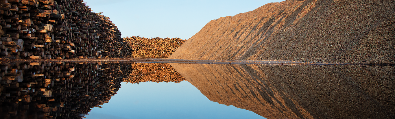 A large pile of stacked logs on the left and a mound of wood chips on the right are reflected in a calm body of water, under a clear blue sky.